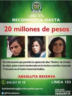 Violeta Arango y Centro Andino