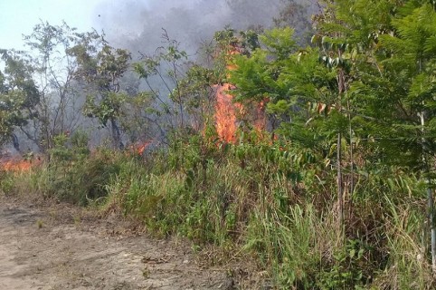 Incendio en La Macarena