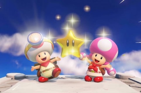 Toad