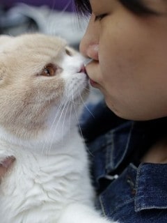 Gato y su dueña. Pulzo.