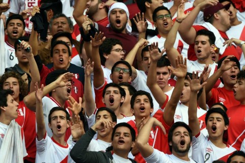 Hinchas de selección Perú