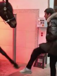 Thomas Muller y caballo