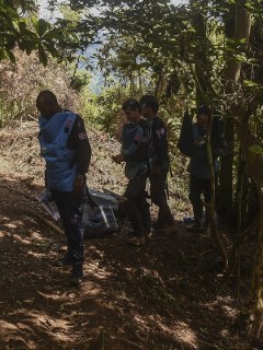 Erradicadores de cultivos ilícitos en Colombia