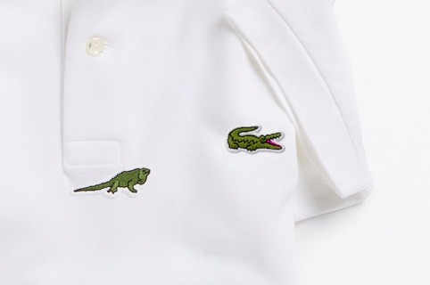 Lacoste