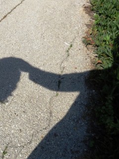 Sombras