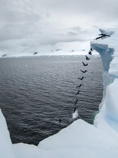 Orlando Duque The Antarctic Dive