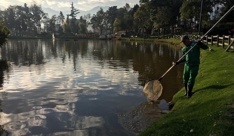 Lago del Parque de Los Novios en Bogotá