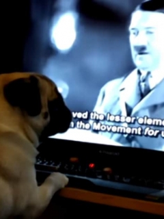 Perro aprende a ser nazi.