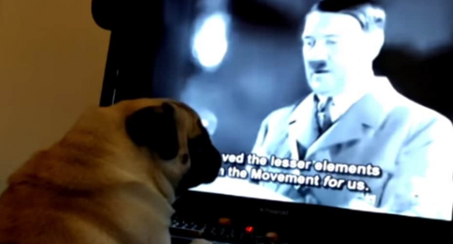 Perro aprende a ser nazi.