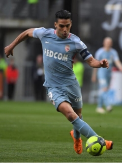 Falcao