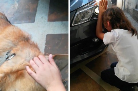 Niña llorando por la muerte de su perro