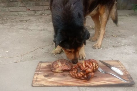 Perro con asado