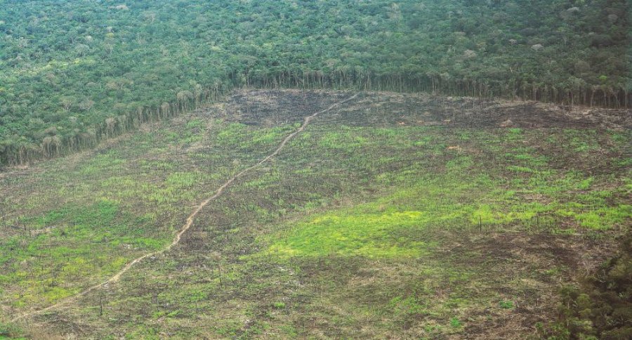 Deforestación Amazonía