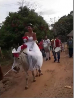 Novia en burro.