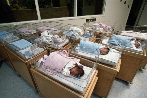 Bebés recién nacidos