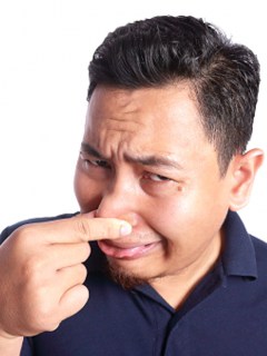 Fart