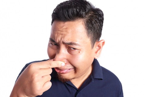 Fart