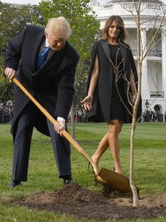 Donald Trump y Emmanuel Macron sembrando el árbol