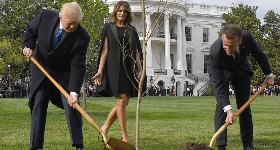 Donald Trump y Emmanuel Macron sembrando el árbol