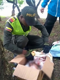 Bebé encontrado en parque de Bogotá