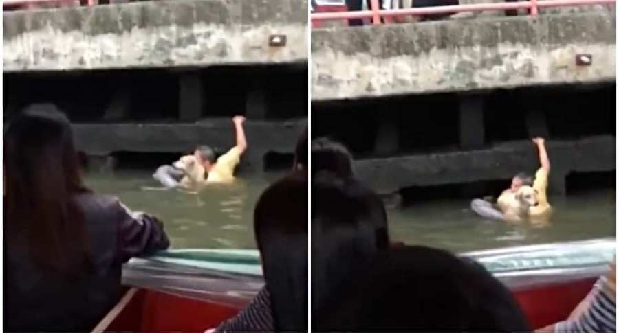Hombre rescata a perro de un canal.