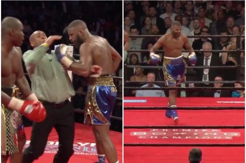 Boxeador golpea a árbitro.