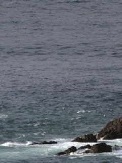 Costas de Túnez