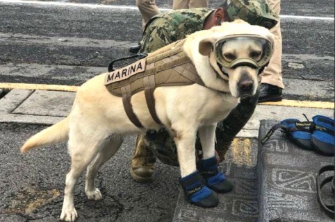 Frida