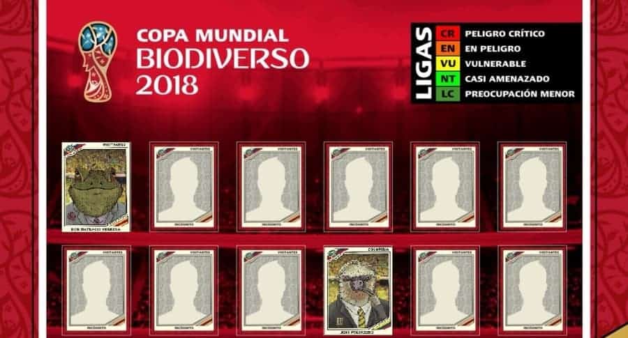 11 ideal de biodiversidad