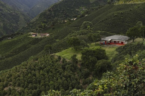 Límites agrícolas