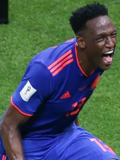 Yerry Mina