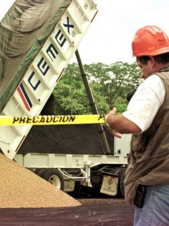 Cementera Cemex