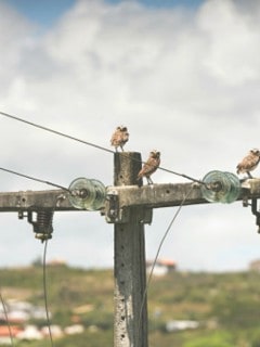 Poste de luz