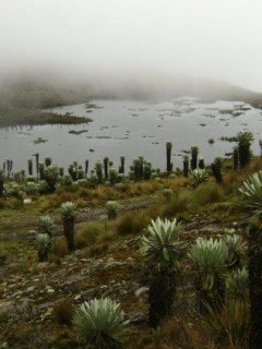 Páramos de Boyacá