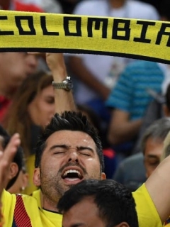 Hincha de la Selección Colombia