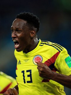 Yerry Mina