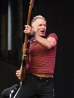Sting, cantante.
