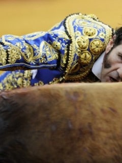 Juan José Padilla
