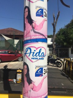 Afiches de Aída Merlano