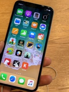 iPhone X