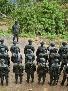 Formación de guerrilleros de las antiguas Farc