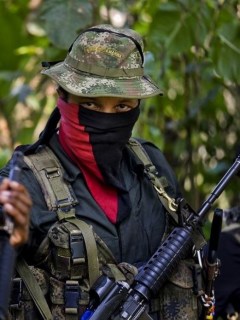 Diálogos con el Eln
