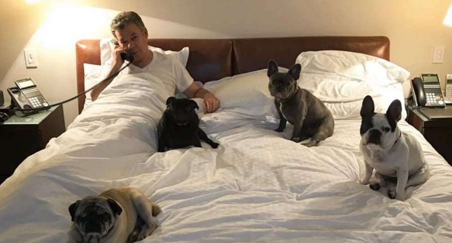 Presidente Santos y sus perros