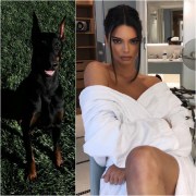 Kendall y su perra