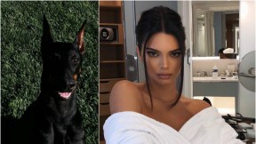 Kendall y su perra