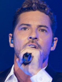 Collage David Bisbal Gokú