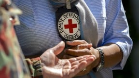 Comité Internacional de la Cruz Roja