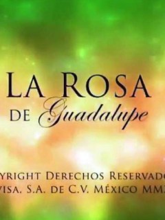 La Rosa de Guadalupe