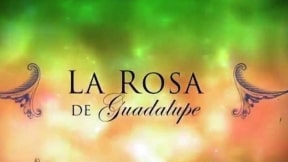 La Rosa de Guadalupe