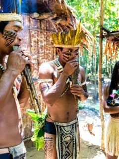 Tribus Nativas de Brasil